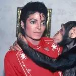 Chimpance Michael Jackson ,