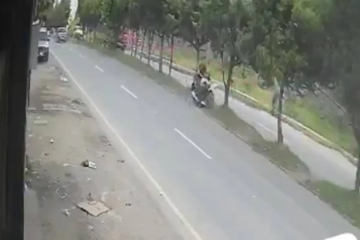 motorista-se-estrella-contra-un-arbol.webp, 