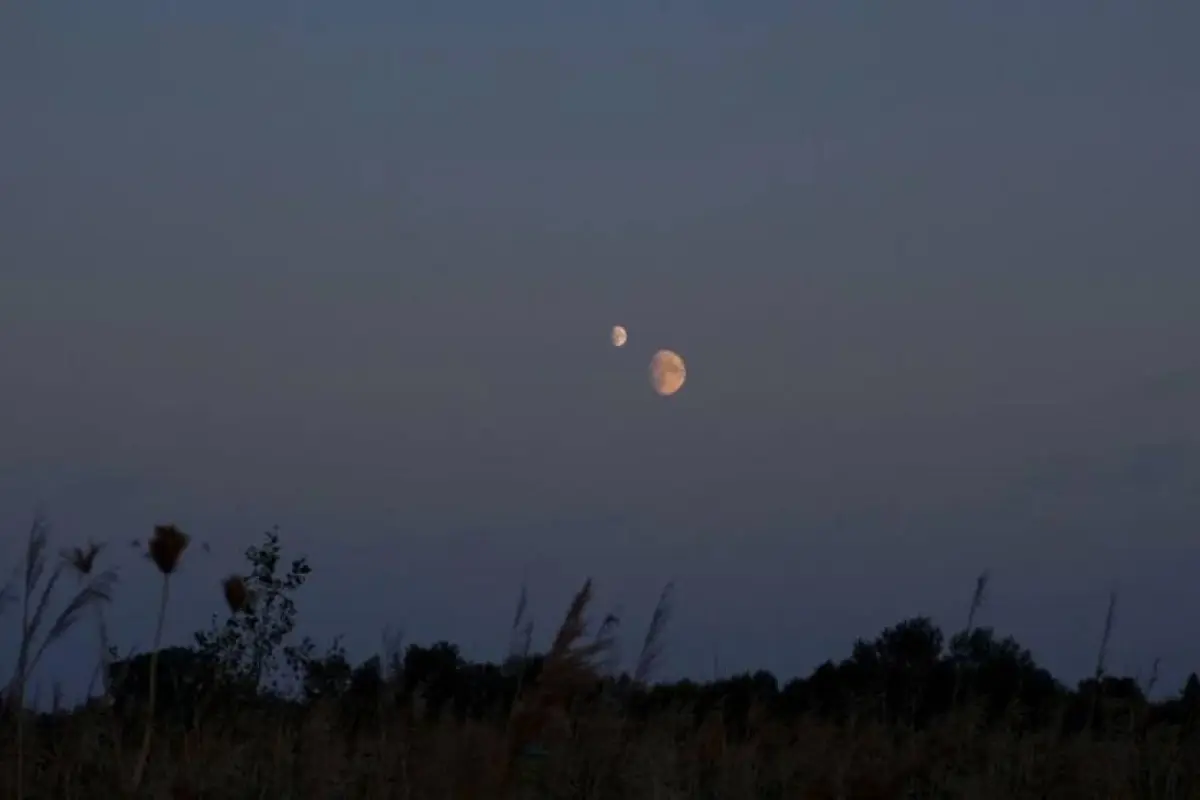 tierra-tendra-dos-lunas-dos-meses-1.webp, 