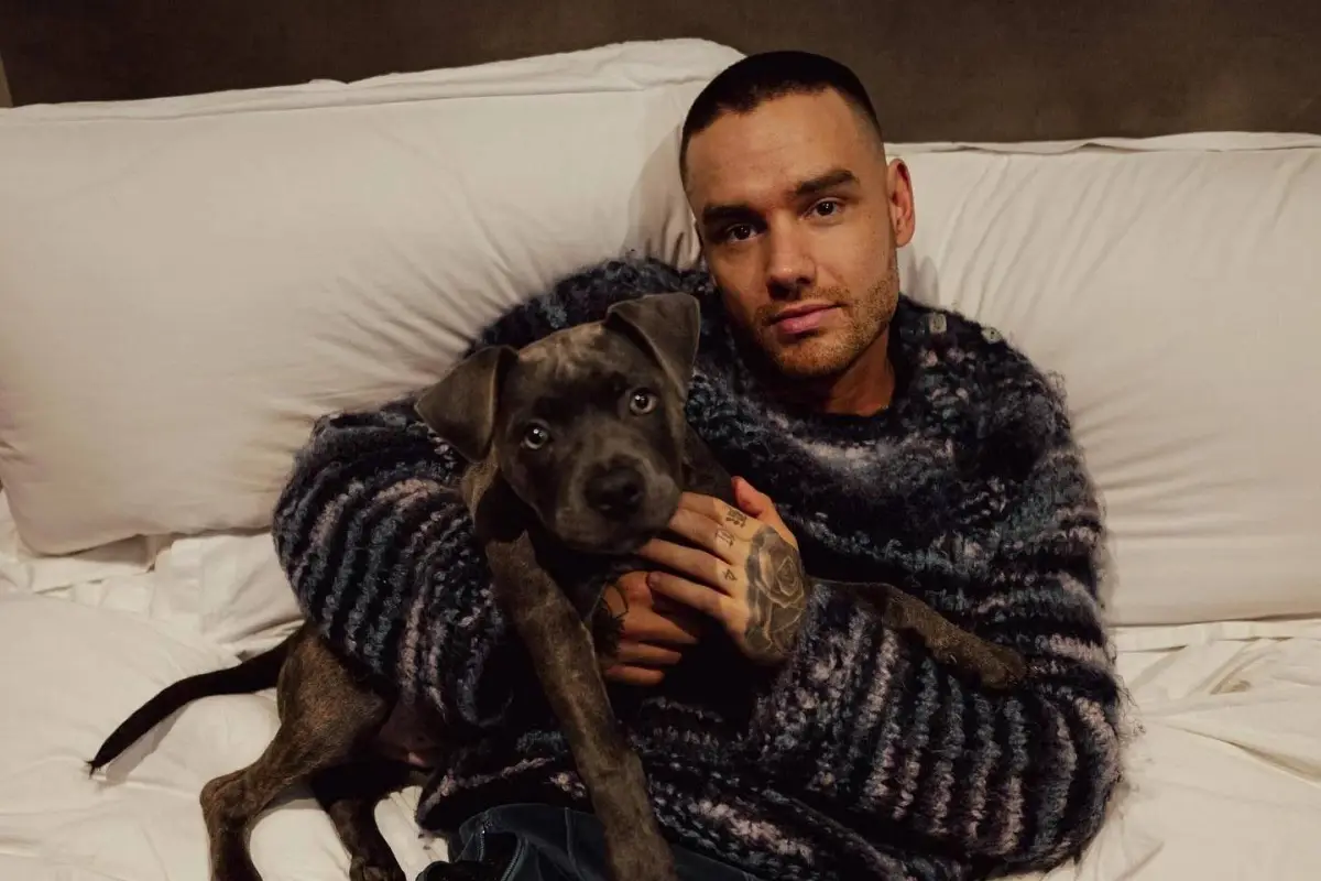 Liam-Payne-One-Direction-1.webp, 