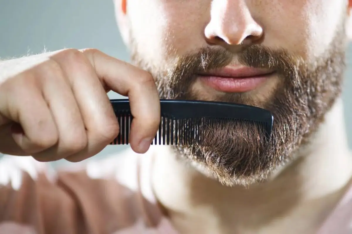 Barba, 