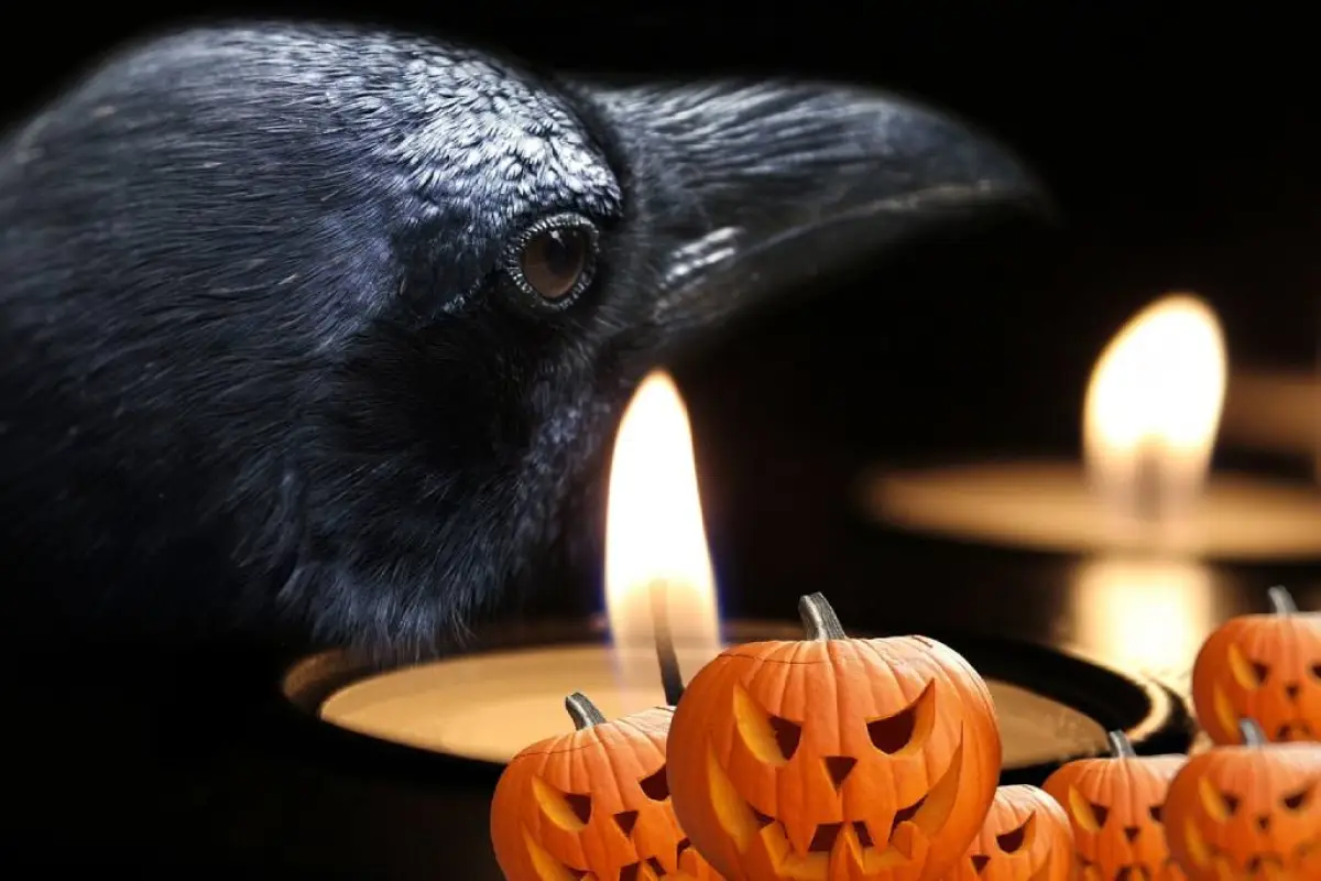 que-significa-boo-en-halloween.webp, 