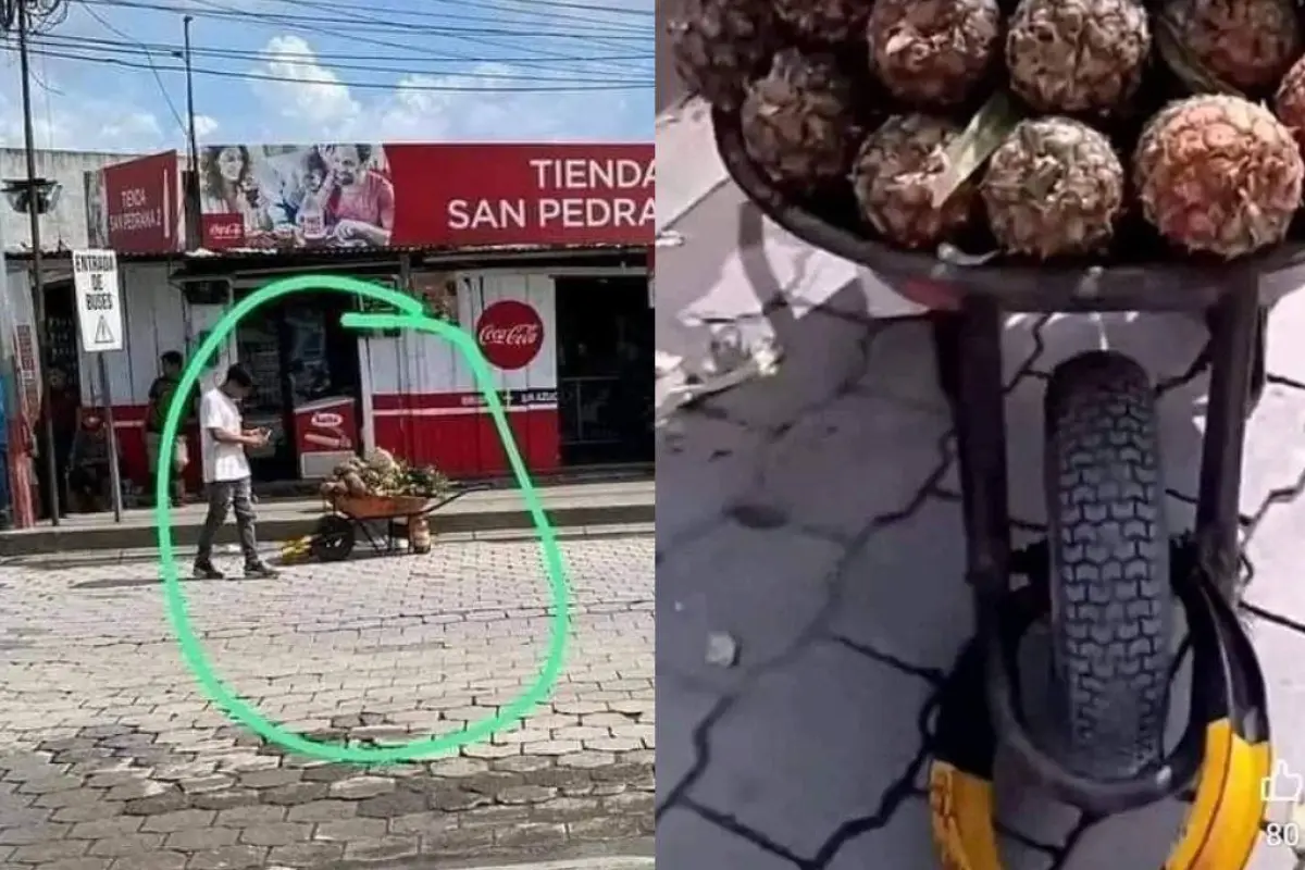 pmt-cepo-vendedor-de-pinas-ayutla-san-marcos.webp, 