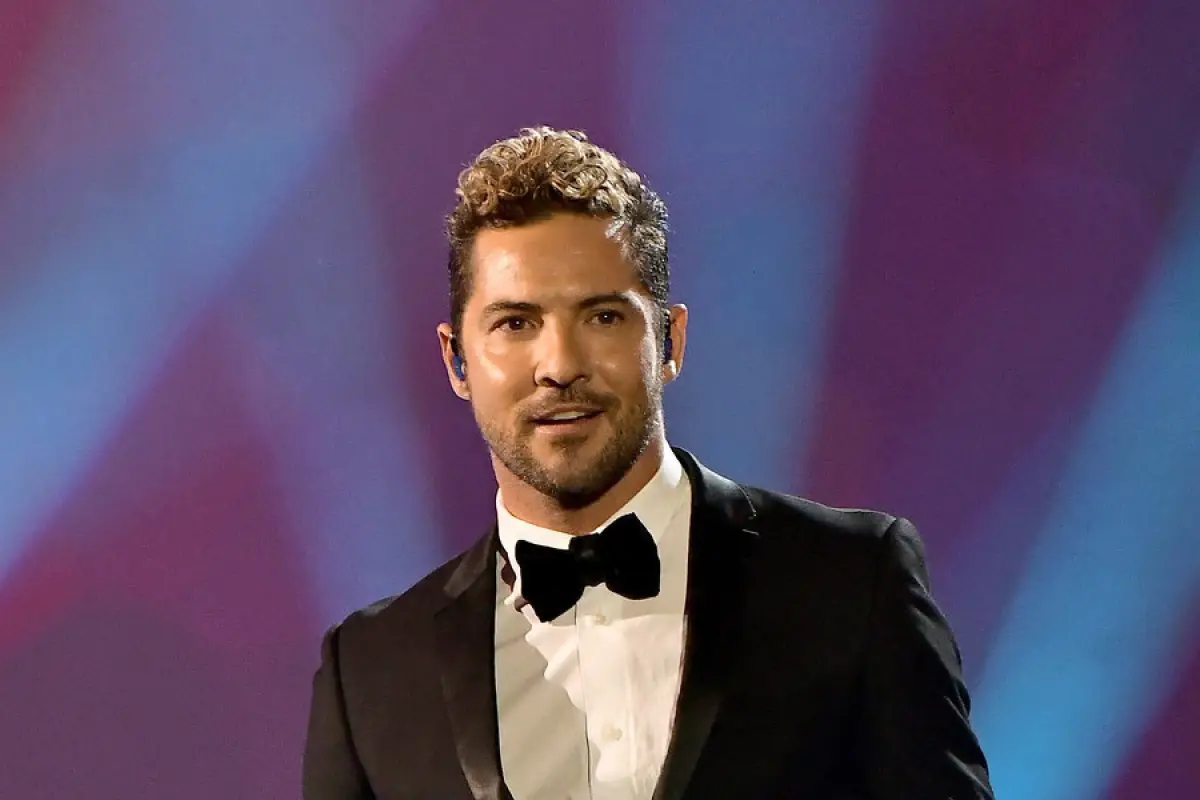 david-bisbal-990x600_1.jpg, 