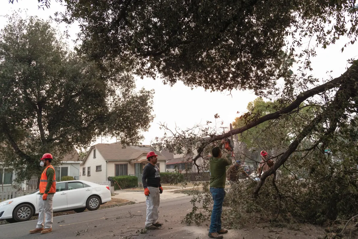 Migrantes indocumentados participan activamente en los incendios de Los Ángeles, EE.UU., EFE