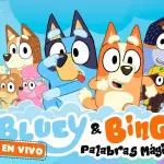 Bluey y Bingo ,Redes sociales