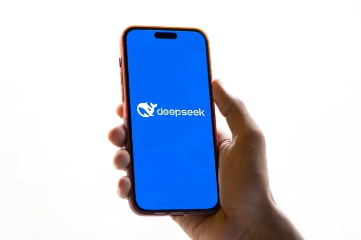 DeepSeek, Redes sociales