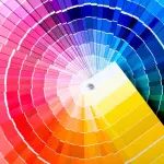 Color ,Color
