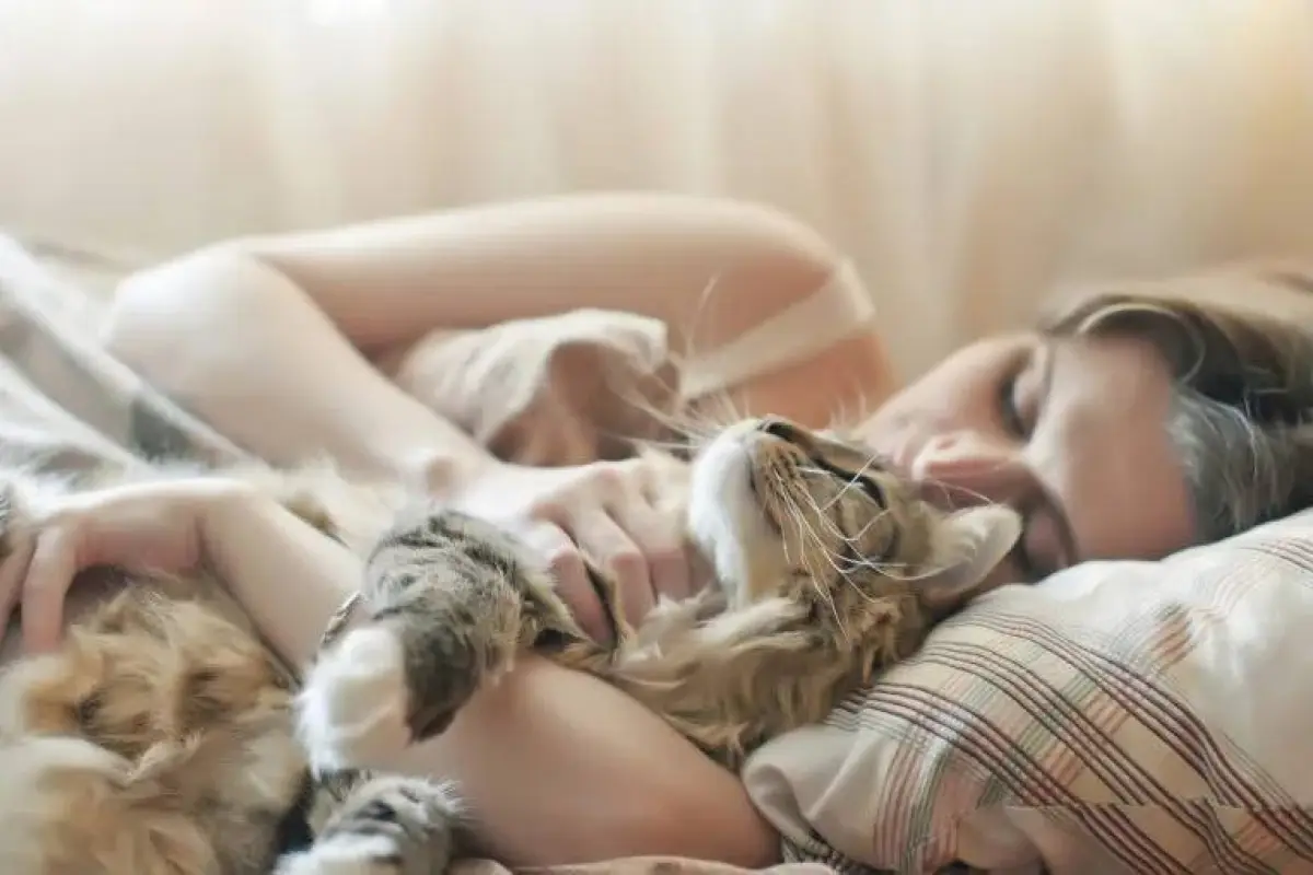 dormir gato, Instagram