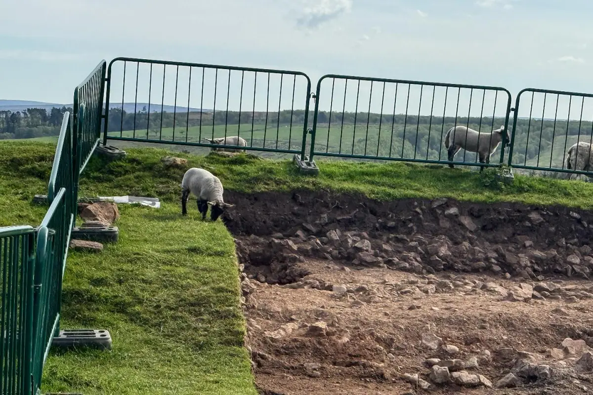 Descubren zapatos gigantes en ruinas romanas , Foto redes sociales de Vindolanda