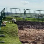 Descubren zapatos gigantes en ruinas romanas  ,Foto redes sociales de Vindolanda
