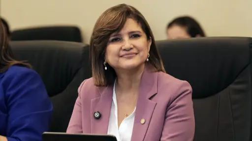 La vicepresidenta Karin Herrera durante una reunión con delegados de encuentro con Copernicus LAC. ,Gobierno de Guatemala