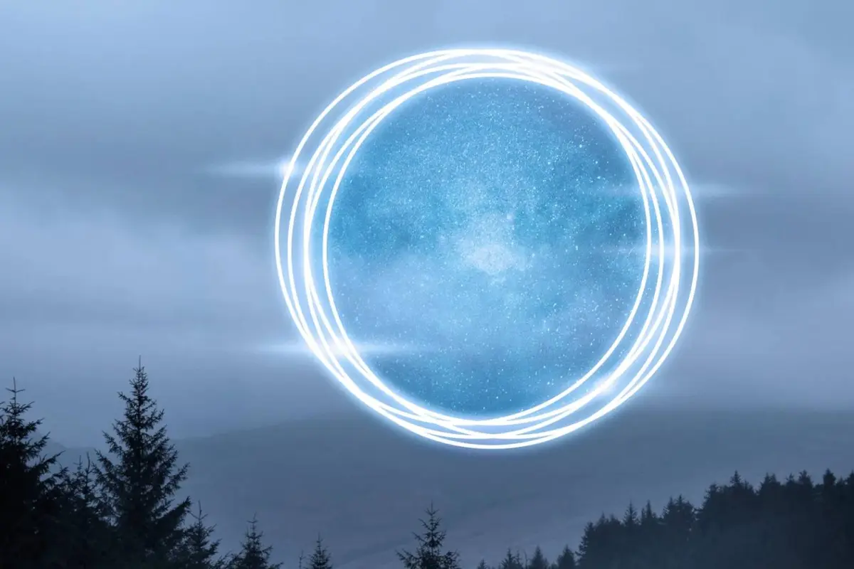 Portal 11/11, Portal 11/11