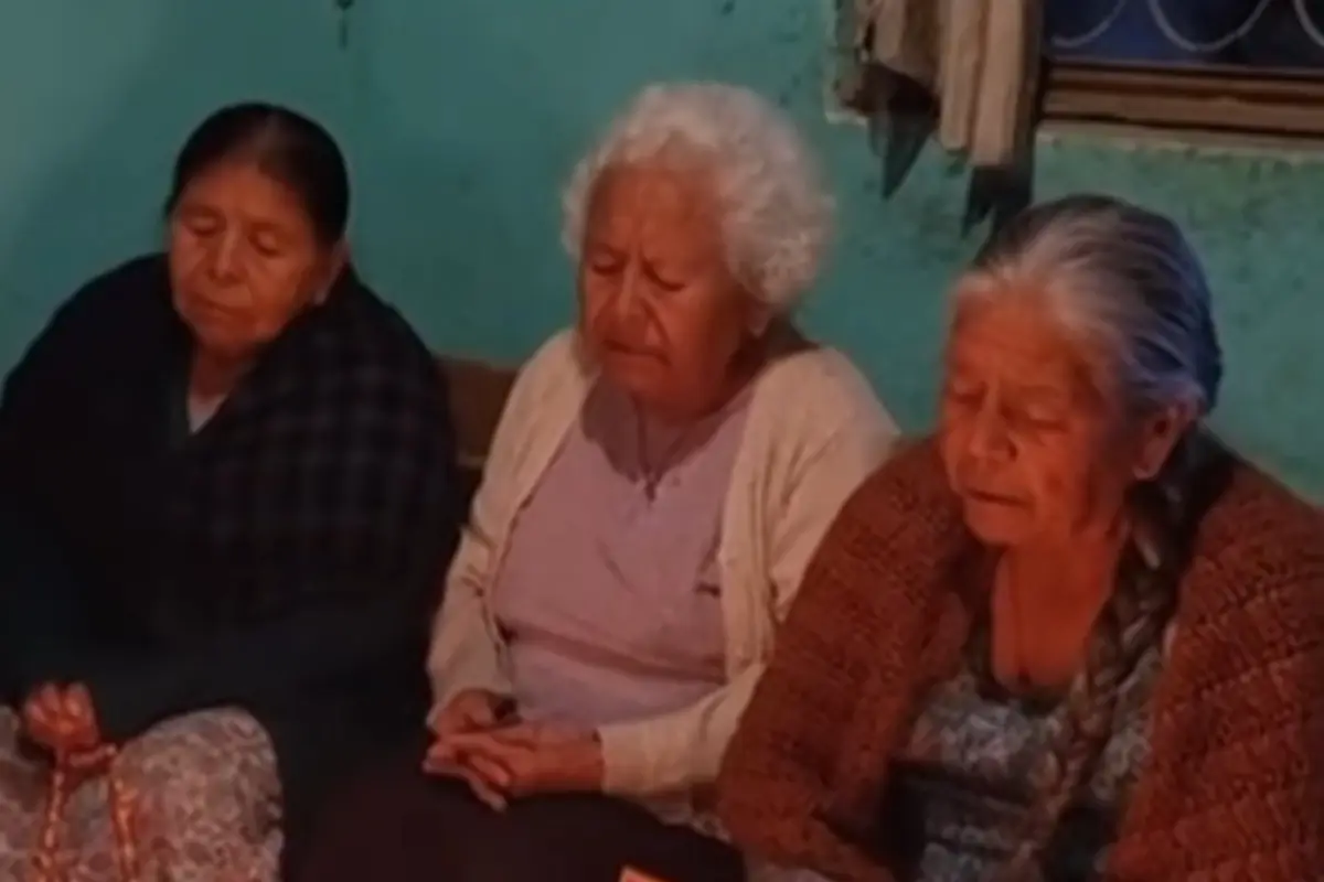 Video acumula más de 5 millones de reproducciones. , Captura de pantalla video TikTok.