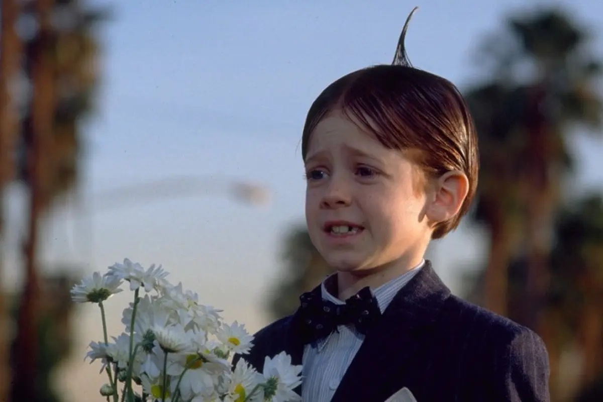 Alfalfa Bug Hall, Instagram