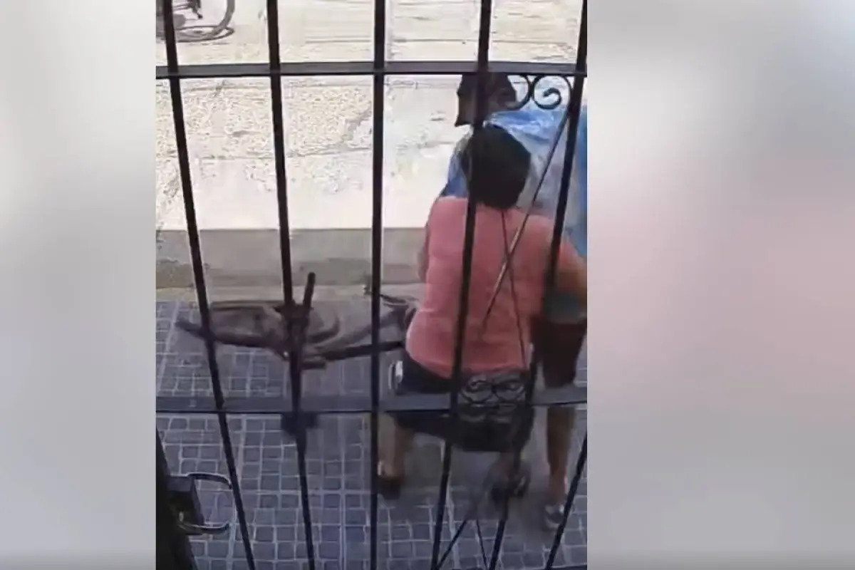 Screenshot, Screenshot