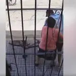 Screenshot ,Screenshot