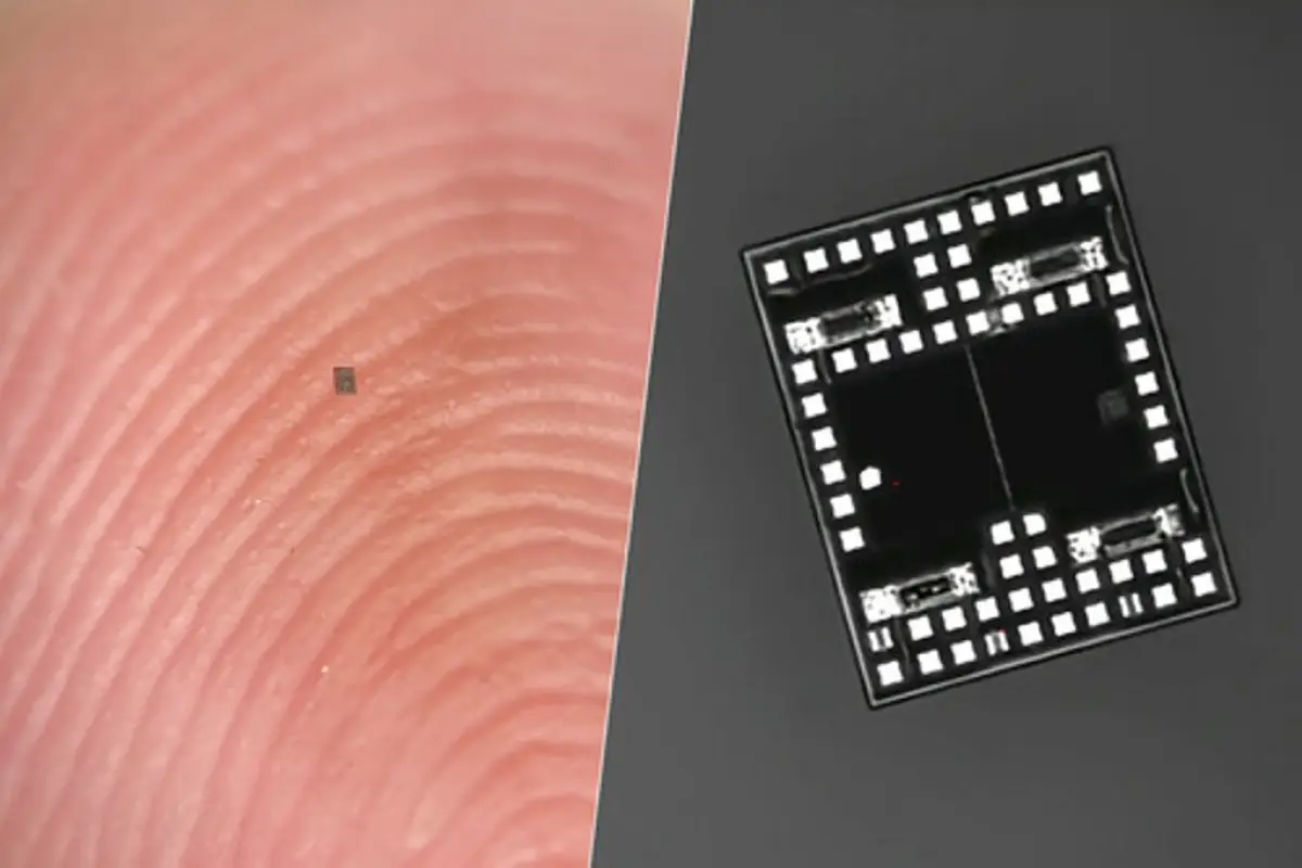 Robot pequeños, Redes sociales