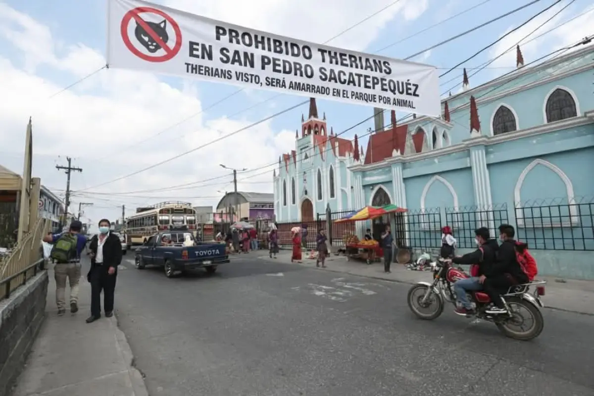 Therians, Redes sociales