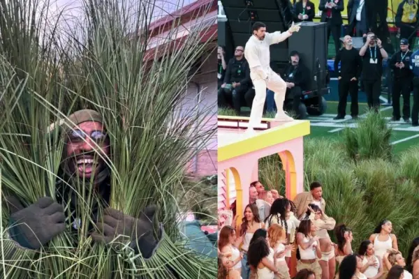 Arbustos en Super Bowl  ,Redes sociales