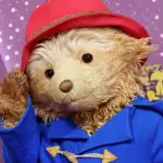 Paddington ,Redes sociales