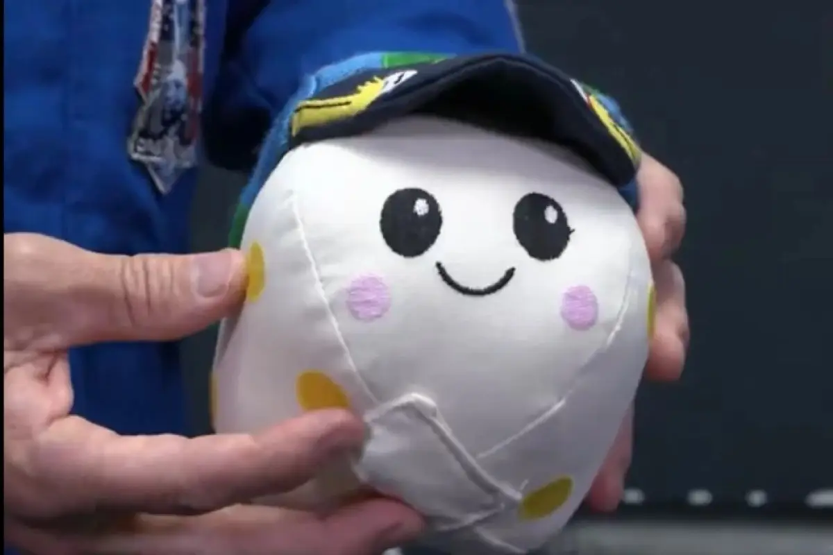 Rise Artemis II Nasa, Redes sociales