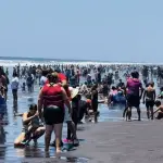 Puerto de San José. ,Municipalidad San José.