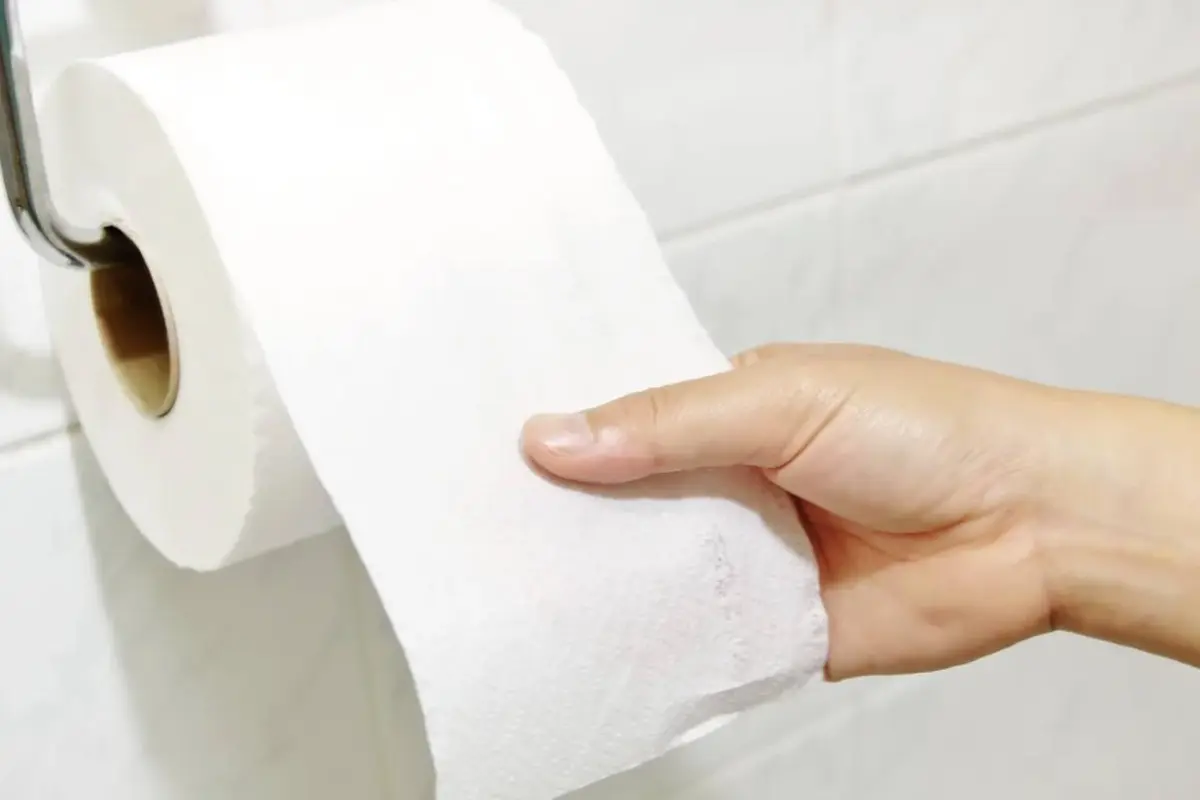 Papel Higinieco , Papel Higinieco 