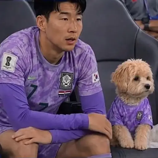 Perro