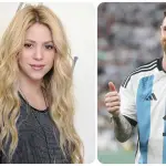 Shakira Lionel Messi ,Redes sociales