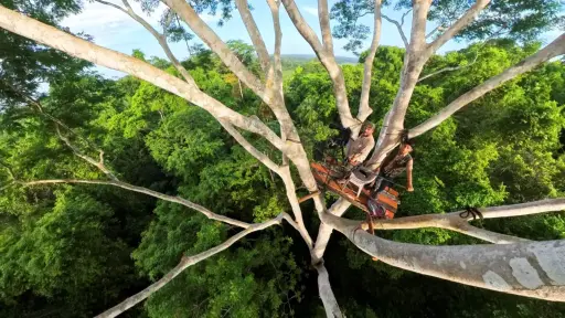 Selva Maya en Jaque ,Foto cortesía