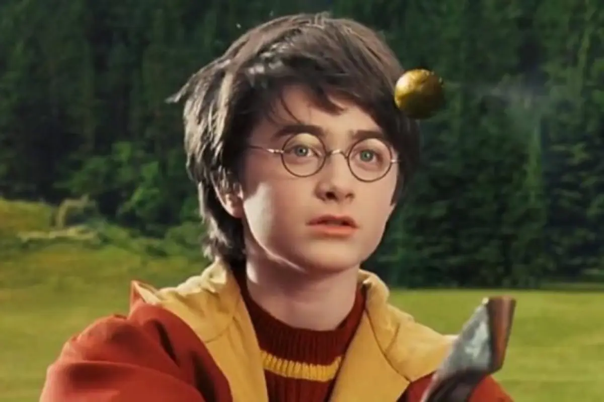 Harry Pottere, Redes sociales