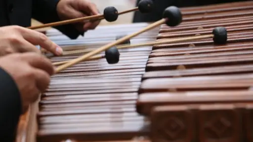 marimba ,archivo