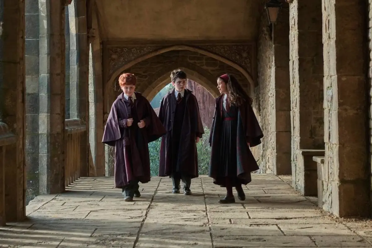 Harry Potter, Redes sociales