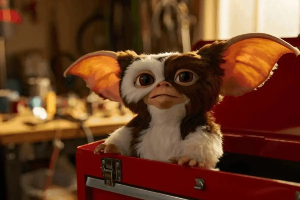 Gremlins, Redes sociales
