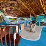 Centro de Conservación Marina ,Foto Sandy Sandoval