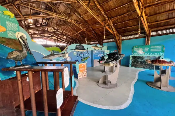 Centro de Conservación Marina ,Foto Sandy Sandoval