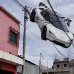 Tesla memes ,Redes sociales